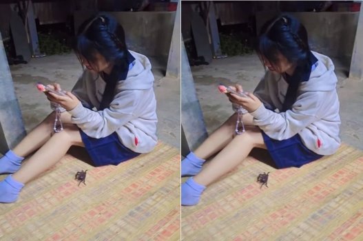 Khát khao bị cuốn hút mạnh mẽ trong đam mê ánh sáng